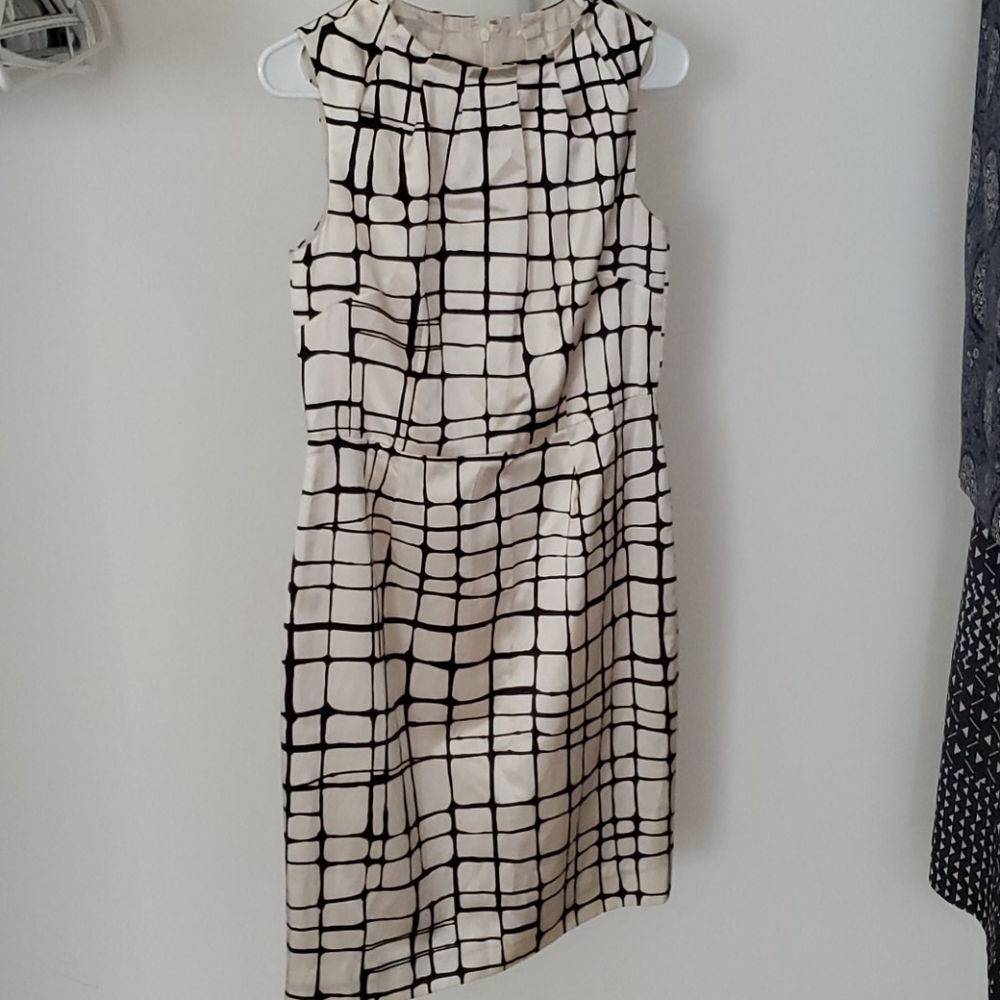 Professional Dress